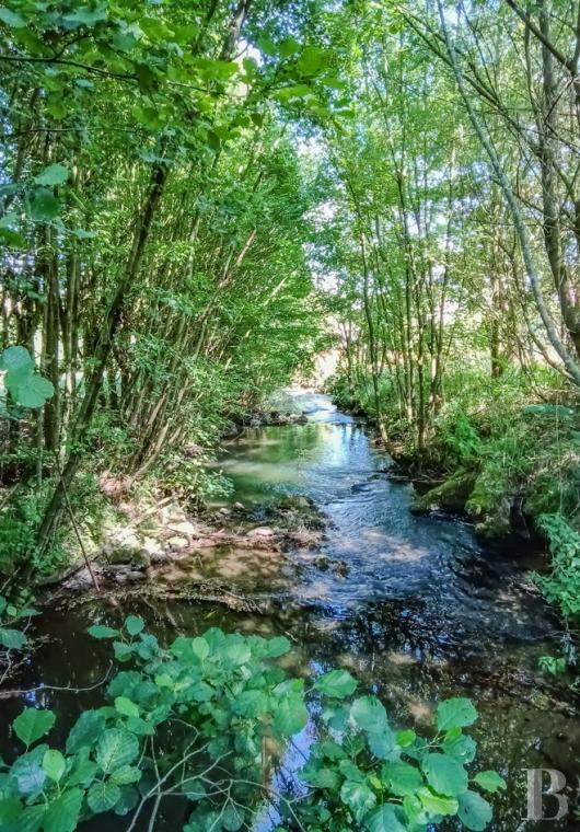 chateaux a vendre nord pas de calais   - 13