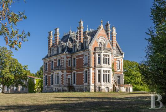 poitou-charentes - En nord-Charente, dans un parc de 8 ha, un domaine avec un château du 19e s.,  un logis du 18e s. et de nombreuses dépendances à rénover