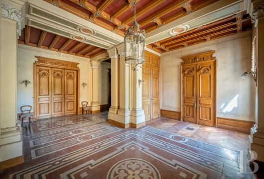 chateaux a vendre poitou charentes   - 5