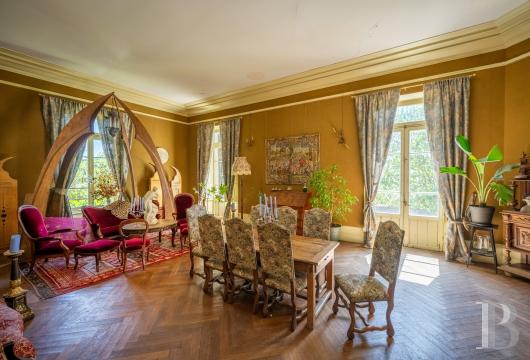 chateaux for sale France midi pyrenees   - 9