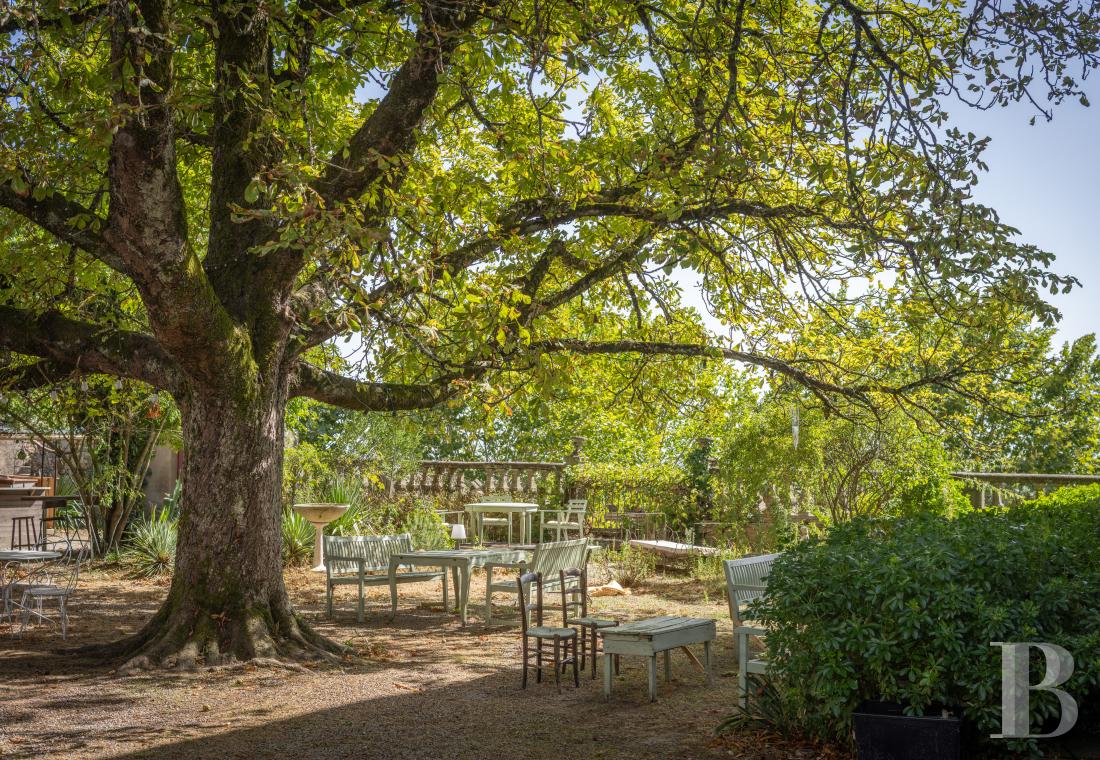 chateaux for sale France midi pyrenees   - 19