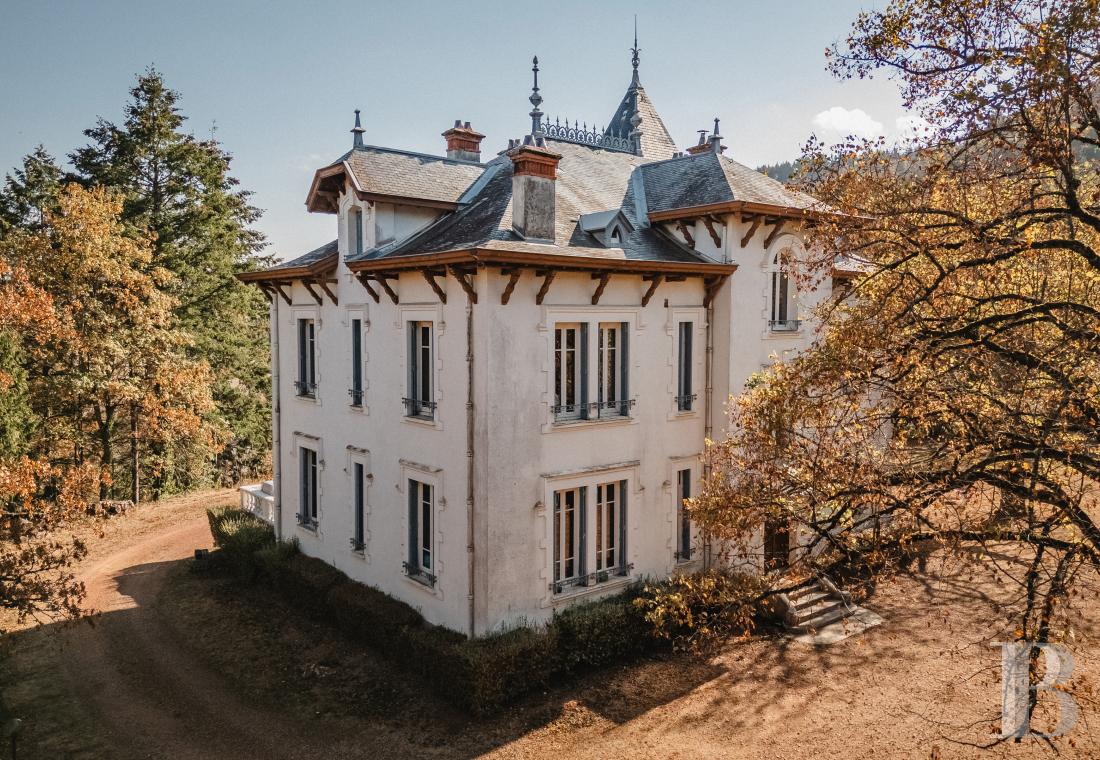 residences and character houses france rhones alps   - 4