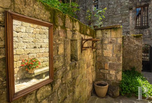 chateaux a vendre rhones alpes   - 17