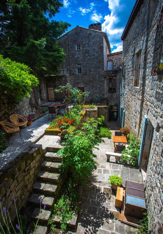chateaux a vendre rhones alpes   - 15