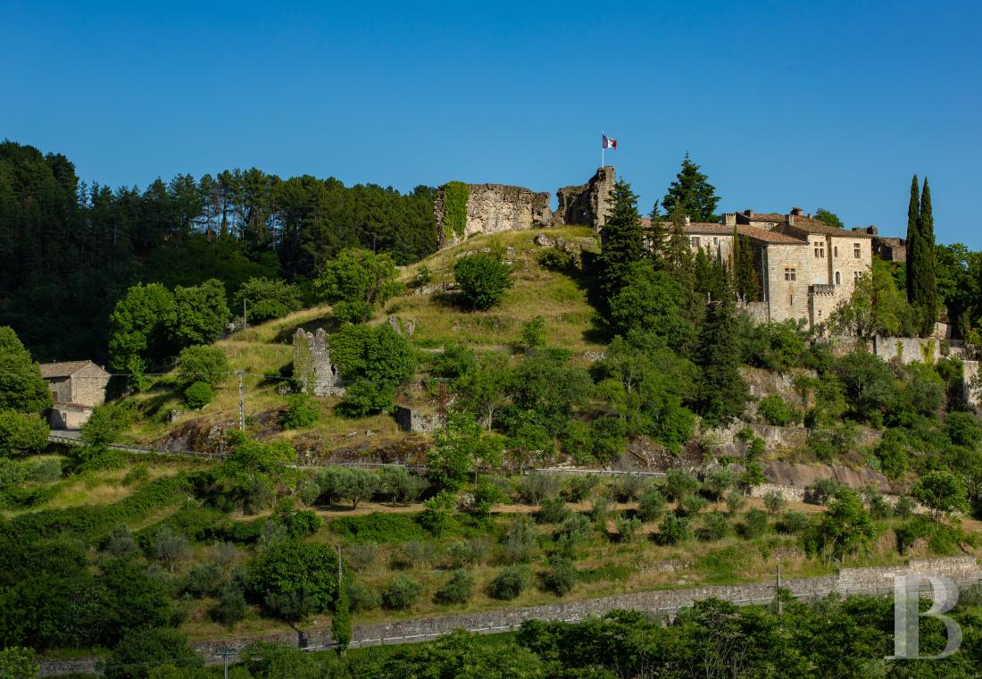 chateaux a vendre rhones alpes   - 2