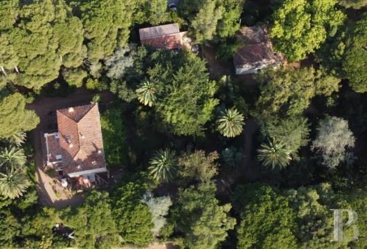 paca - Au Pradet, proche des plages et des commerces à pied, une bastide du 19e s. au cœur de 2 500 m² de parc aux pins et palmiers centenaires