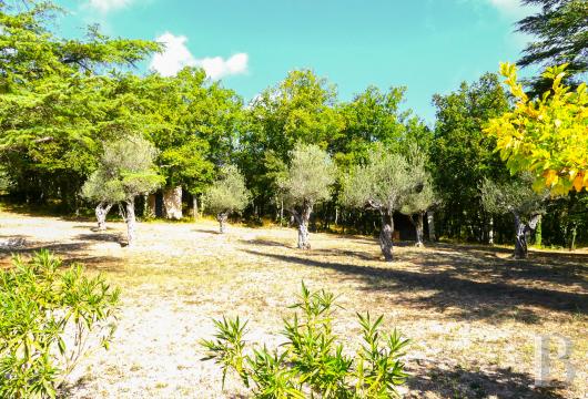 french mas and farms for sale provence cote dazur   - 20