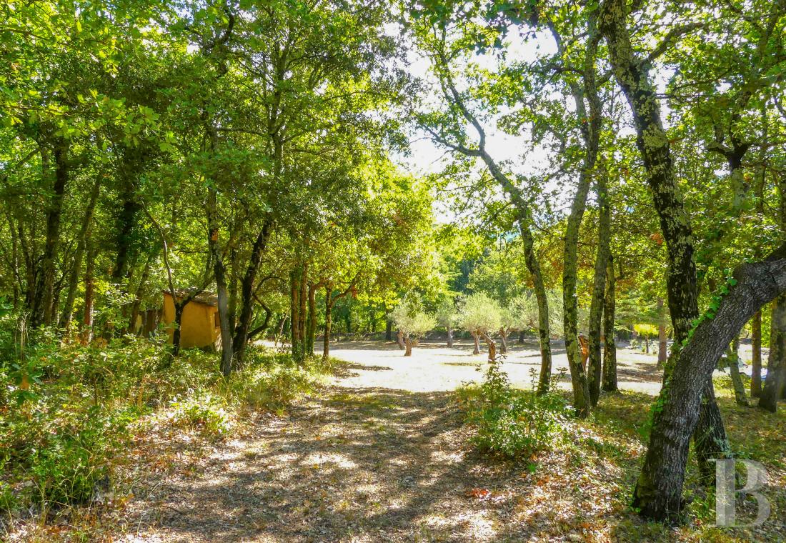 french mas and farms for sale provence cote dazur   - 17