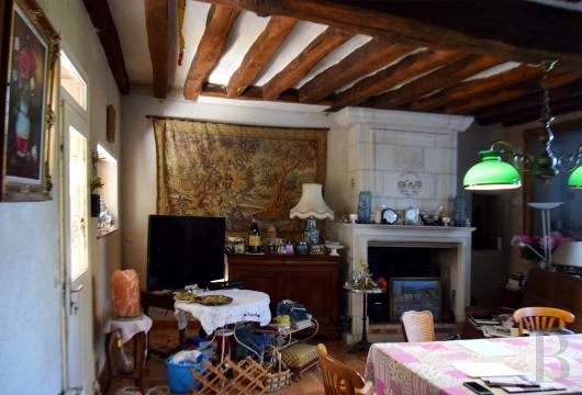demeures et maisons a vendre france centre val de loire   - 6