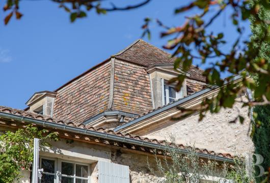 chateaux for sale France aquitaine   - 6