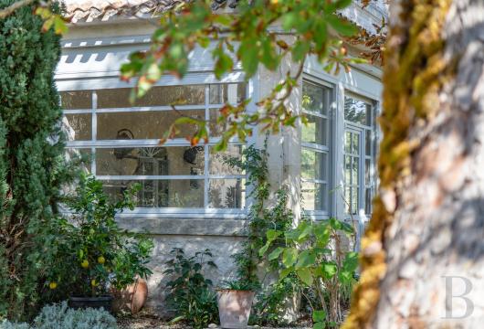 chateaux for sale France aquitaine   - 15