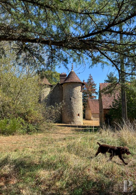 demeures et maisons a vendre france centre val de loire   - 4