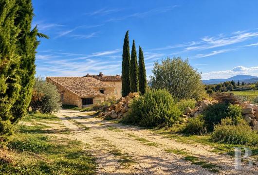 provence-cote-dazur - A vast, stone-built farm to restore, with olive trees and downy oaks in almost 4 ha of land, in the part of the Drôme area in Provence, near Grignan