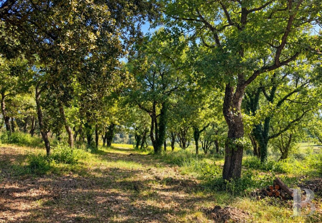 french mas and farms for sale provence cote dazur   - 10