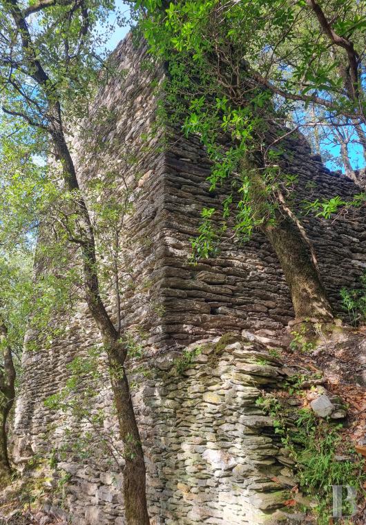 ruins for sale France languedoc roussillon   - 11