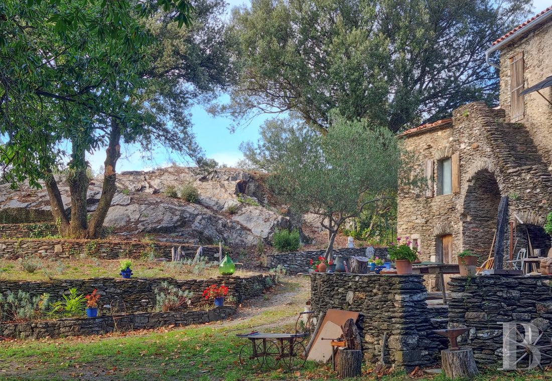 ruins for sale France languedoc roussillon   - 1