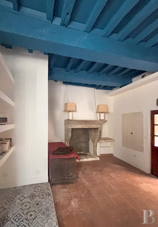 mansion houses for sale France languedoc roussillon   - 12