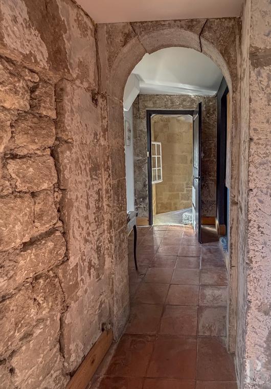 mansion houses for sale France languedoc roussillon   - 10