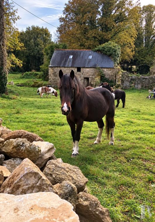 french mas and farms for sale brittany   - 18