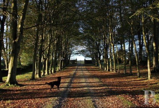 An 18th century chateau and its outbuildings spread across the heights of Val de Saire  in the Cotentin - photo  n°7