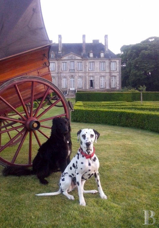 An 18th century chateau and its outbuildings spread across the heights of Val de Saire  in the Cotentin - photo  n°4