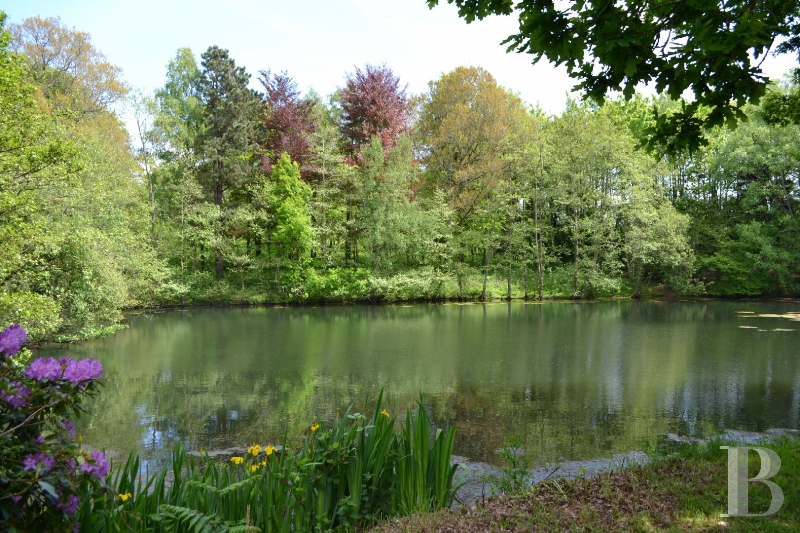 Dans le Cotentin, un château du 18e s.et ses dépendances rayonnant sur les hauteurs du Val de Saire - photo  n°2