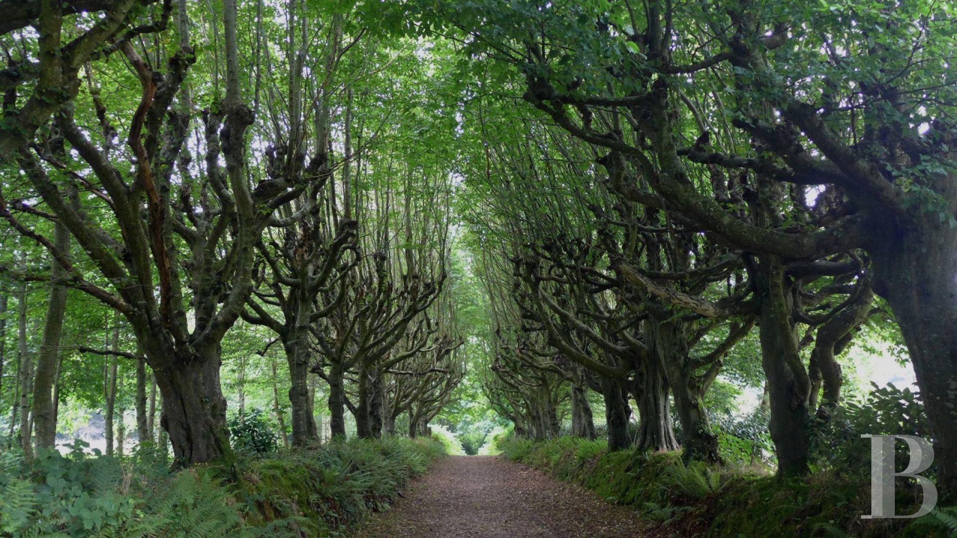 Dans le Cotentin, un château du 18e s.et ses dépendances rayonnant sur les hauteurs du Val de Saire - photo  n°3