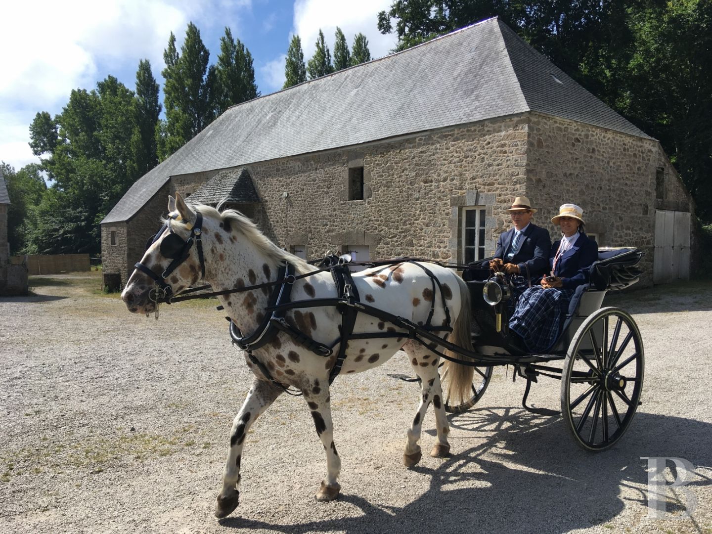 Dans le Cotentin, un château du 18e s.et ses dépendances rayonnant sur les hauteurs du Val de Saire - photo  n°14