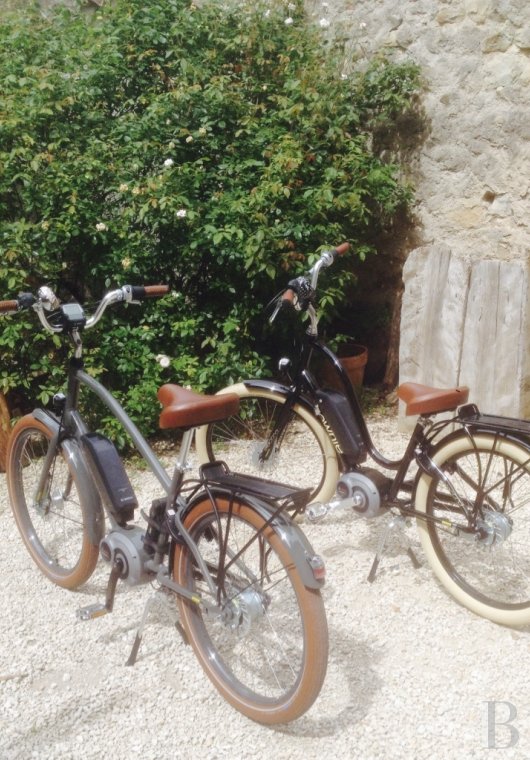 A small village chateau  with a remarkable garden  in Ardèche - photo  n°32