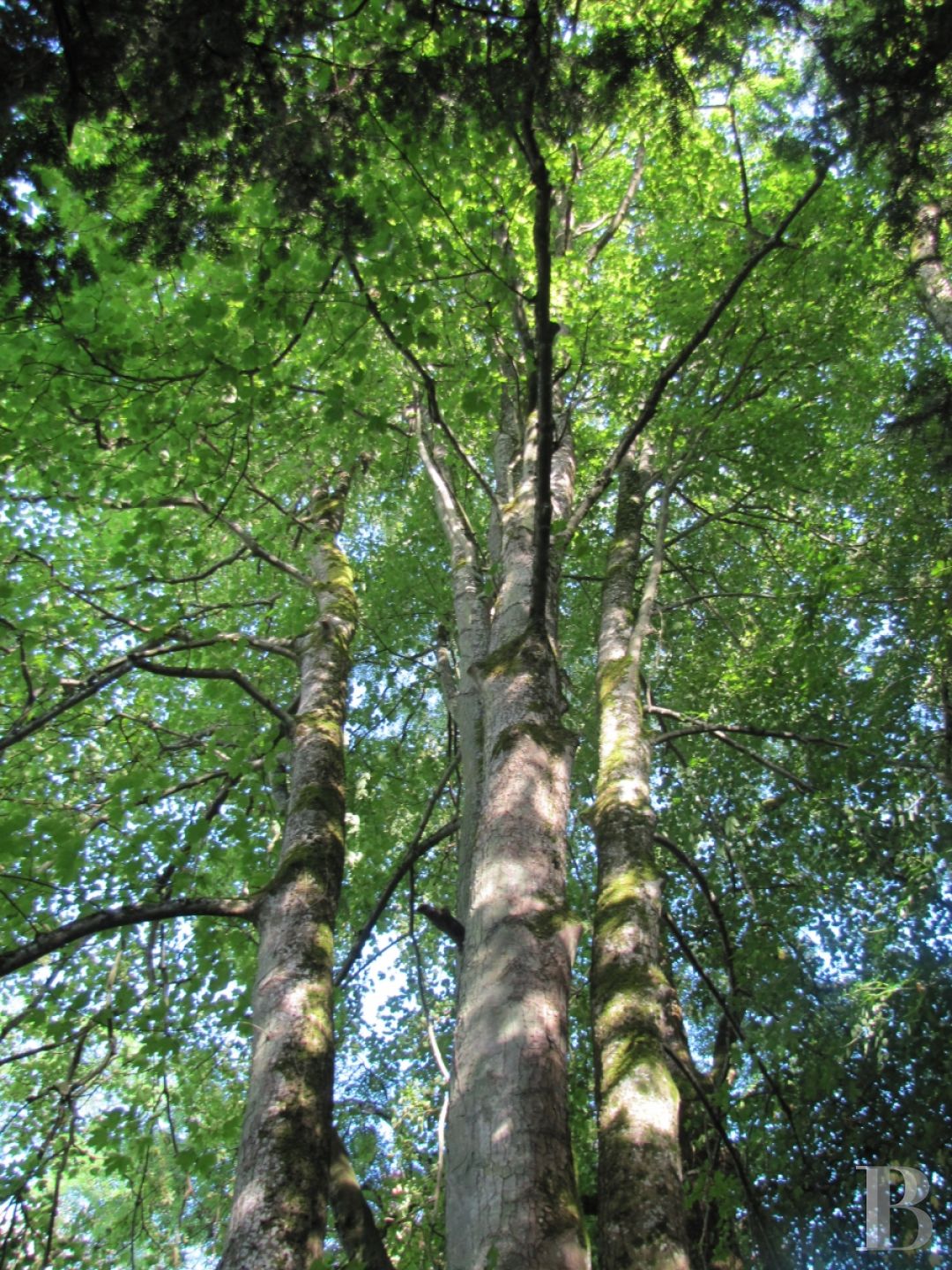 A historic site in more ways than one, running through the Lorraine region between Luxembourg and Metz - photo  n°9