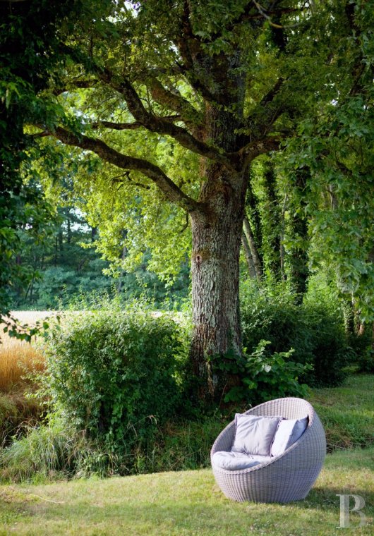 An old farmhouse transformed into a charming guest house  in southern Burgundy, between Dijon, Geneva and Lyon  - photo  n°15