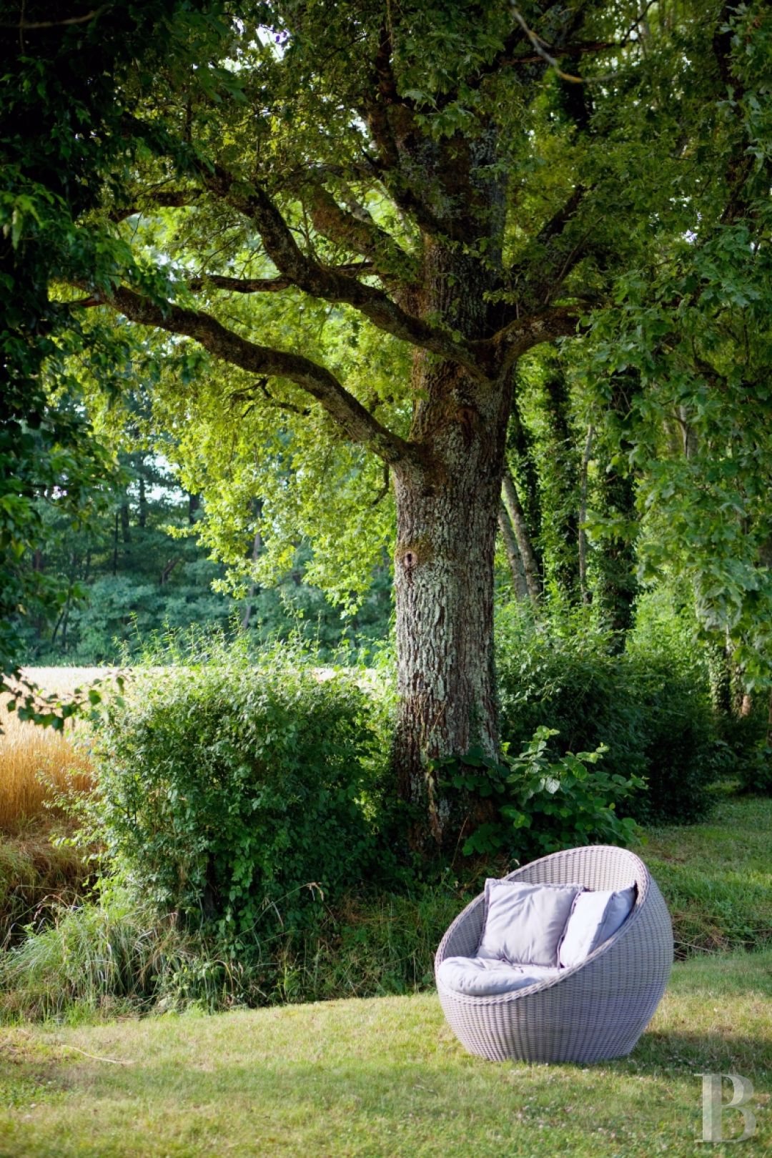 En Bourgogne du sud, à équidistance de Dijon, Genève et Lyon,  une ancienne ferme transformée en maison et table d’hôtes de grand charme - photo  n°15
