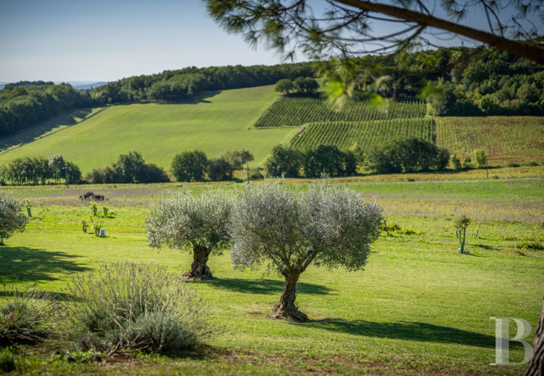 property for sale France midi pyrenees   - 23