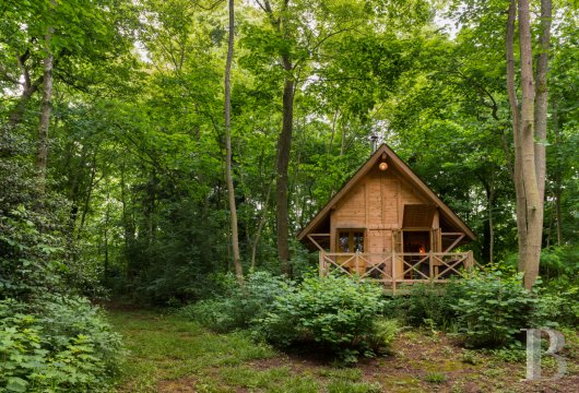 A Renaissance chateau in ten hectares of grounds on the outskirts of Alençon in the Sarthe - photo  n°27