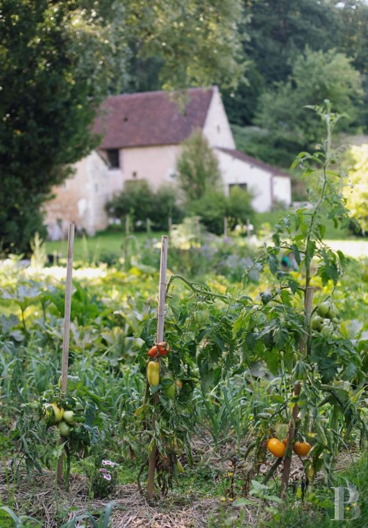 Au cœur du parc Naturel Régional du Perche,  une maison-hôtel de campagne aux accents contemporains - photo  n°32