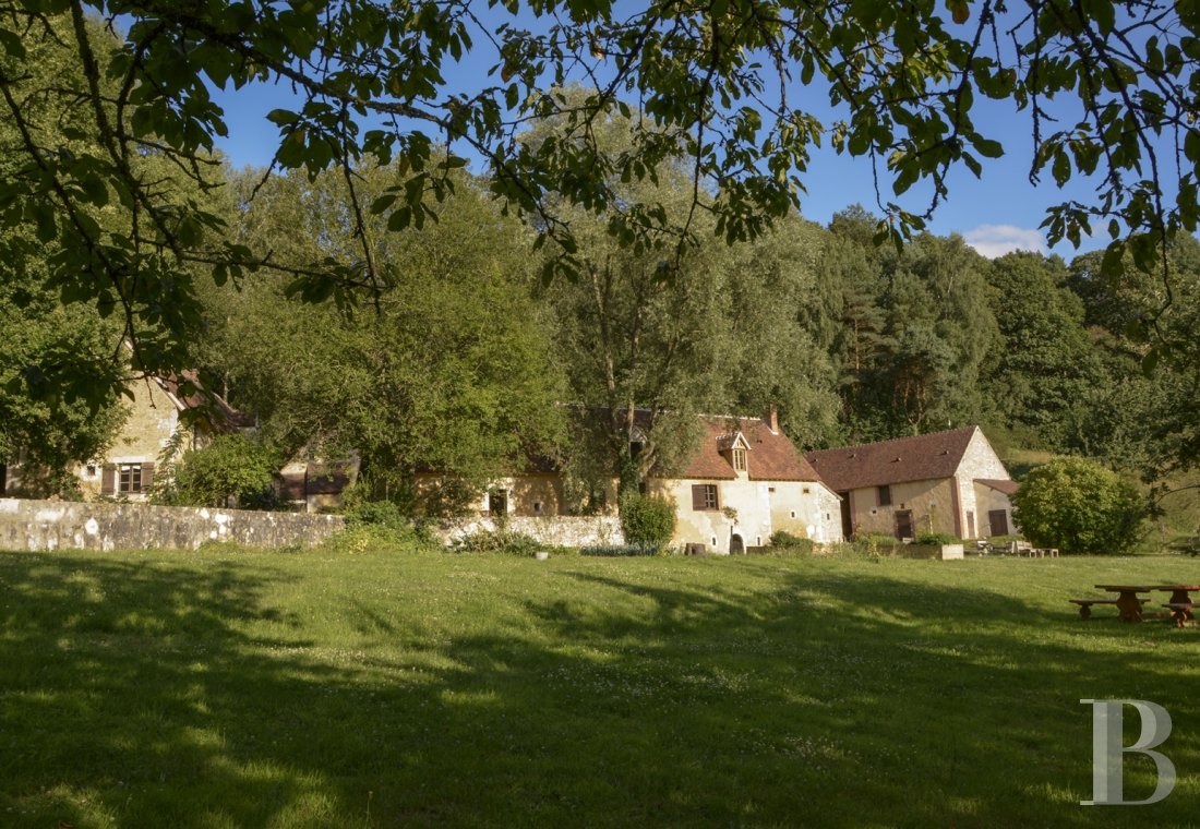 Au cœur du parc Naturel Régional du Perche,  une maison-hôtel de campagne aux accents contemporains - photo  n°4