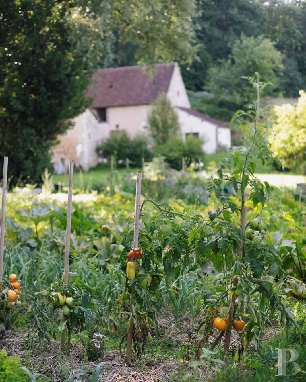 Au cœur du parc Naturel Régional du Perche,  une maison-hôtel de campagne aux accents contemporains - photo  n°32