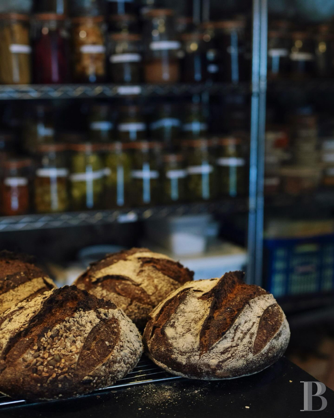 Au cœur du parc Naturel Régional du Perche,  une maison-hôtel de campagne aux accents contemporains - photo  n°27