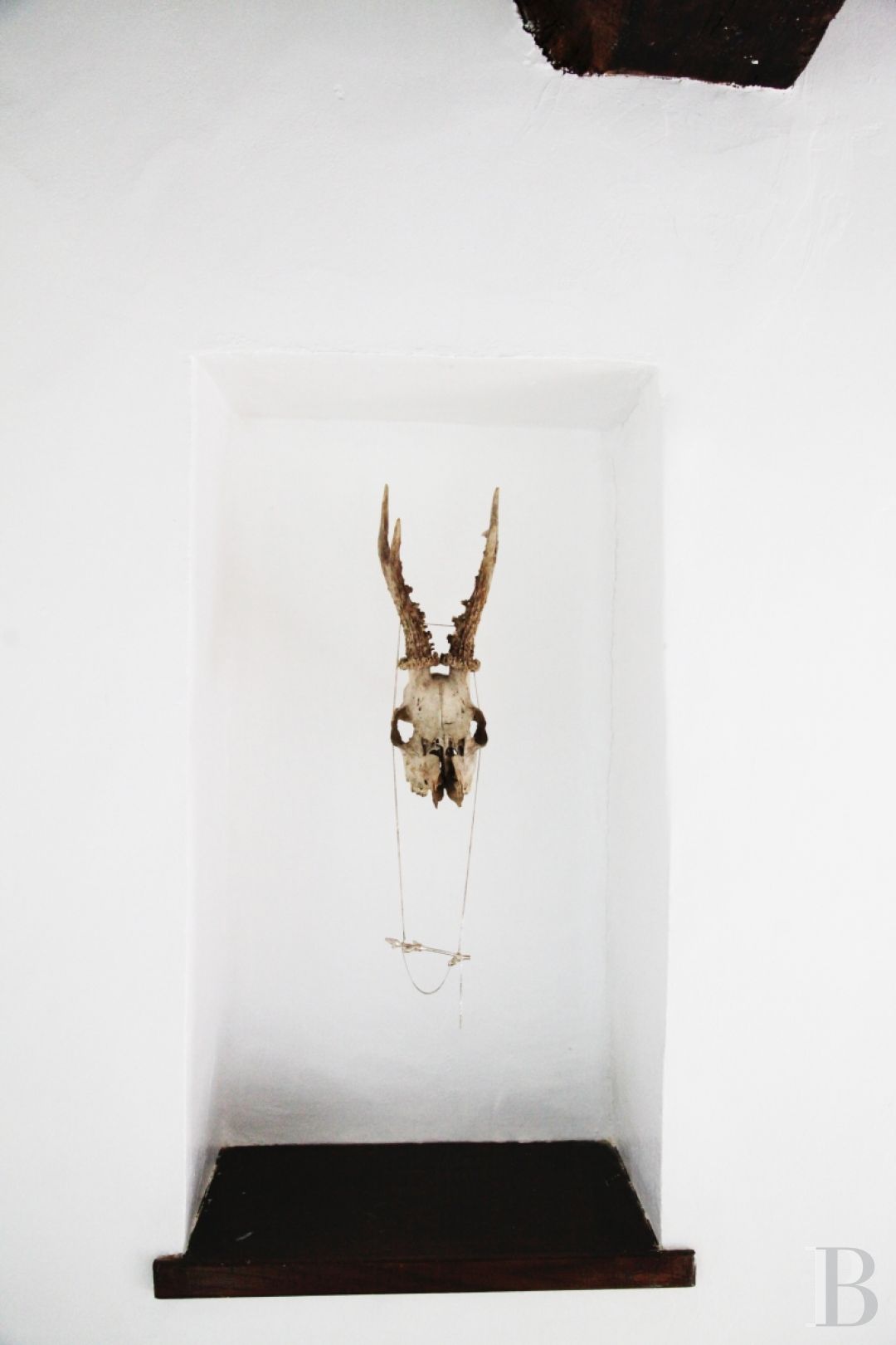 Au cœur du parc Naturel Régional du Perche,  une maison-hôtel de campagne aux accents contemporains - photo  n°10