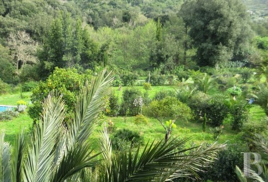 À vingt minutes de Bastia, sur la route de Saint-Florent, un lieu de culte devenu source de création - photo  n°12