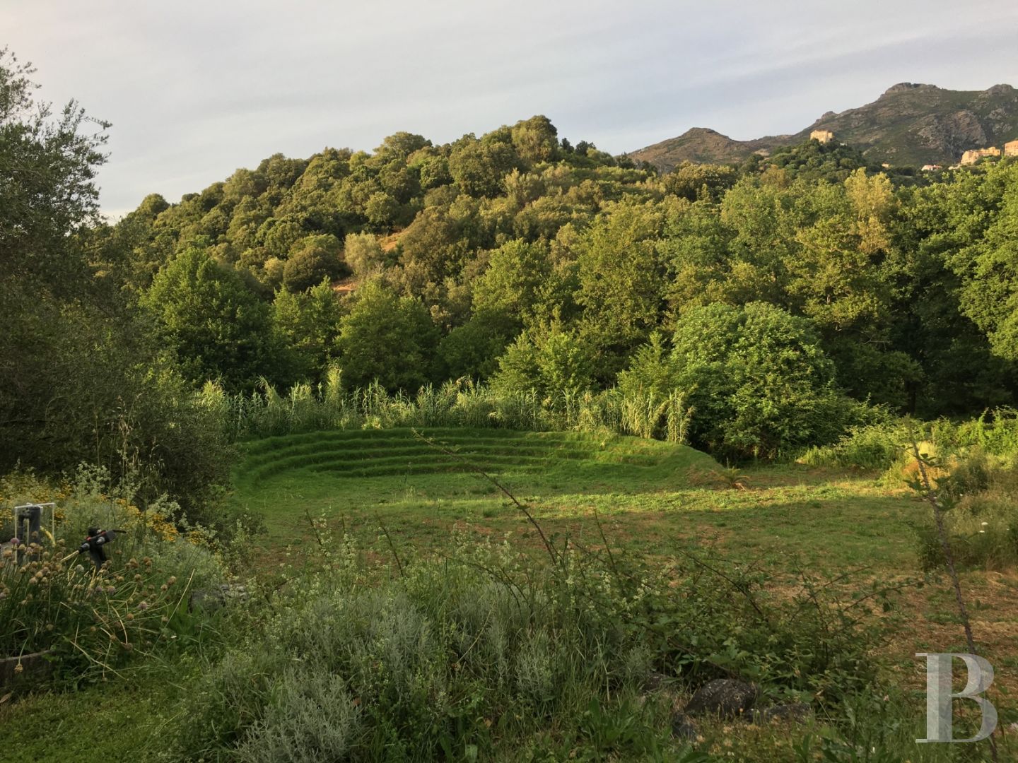 A place of worship that has become a creative hub just twenty minutes from Bastia on the way to Saint-Florent - photo  n°3