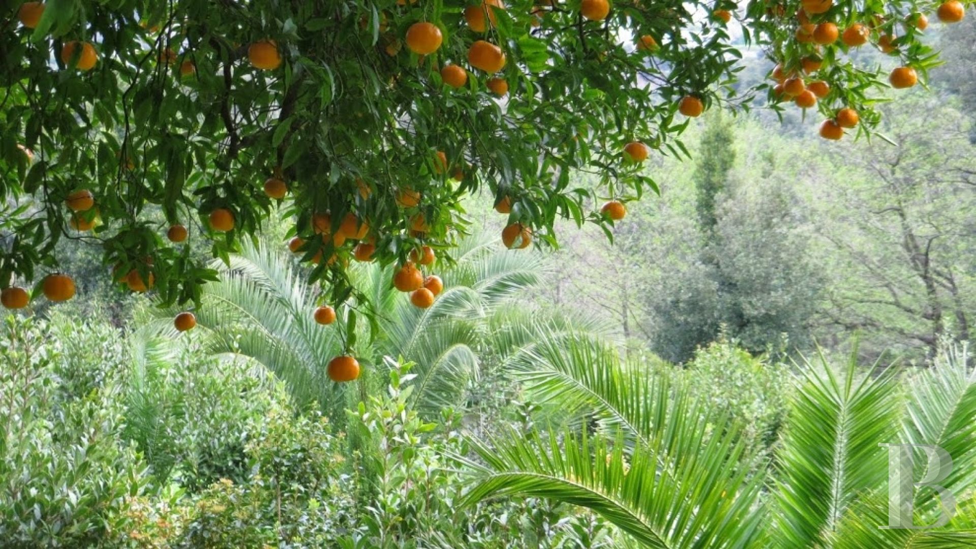 A place of worship that has become a creative hub just twenty minutes from Bastia on the way to Saint-Florent - photo  n°7