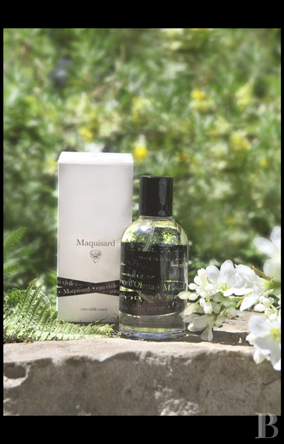 A place of worship that has become a creative hub just twenty minutes from Bastia on the way to Saint-Florent - photo  n°3