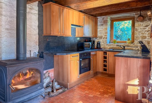 mills for sale France brittany   - 8