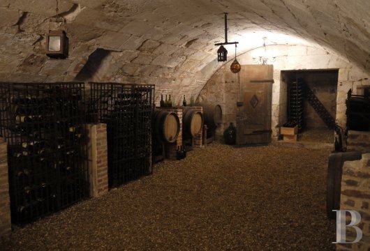 Au cœur du Parc Naturel Régional des boucles de la Seine, un château résumant à lui seul quatre cents ans d’architecture normande - photo  n°12