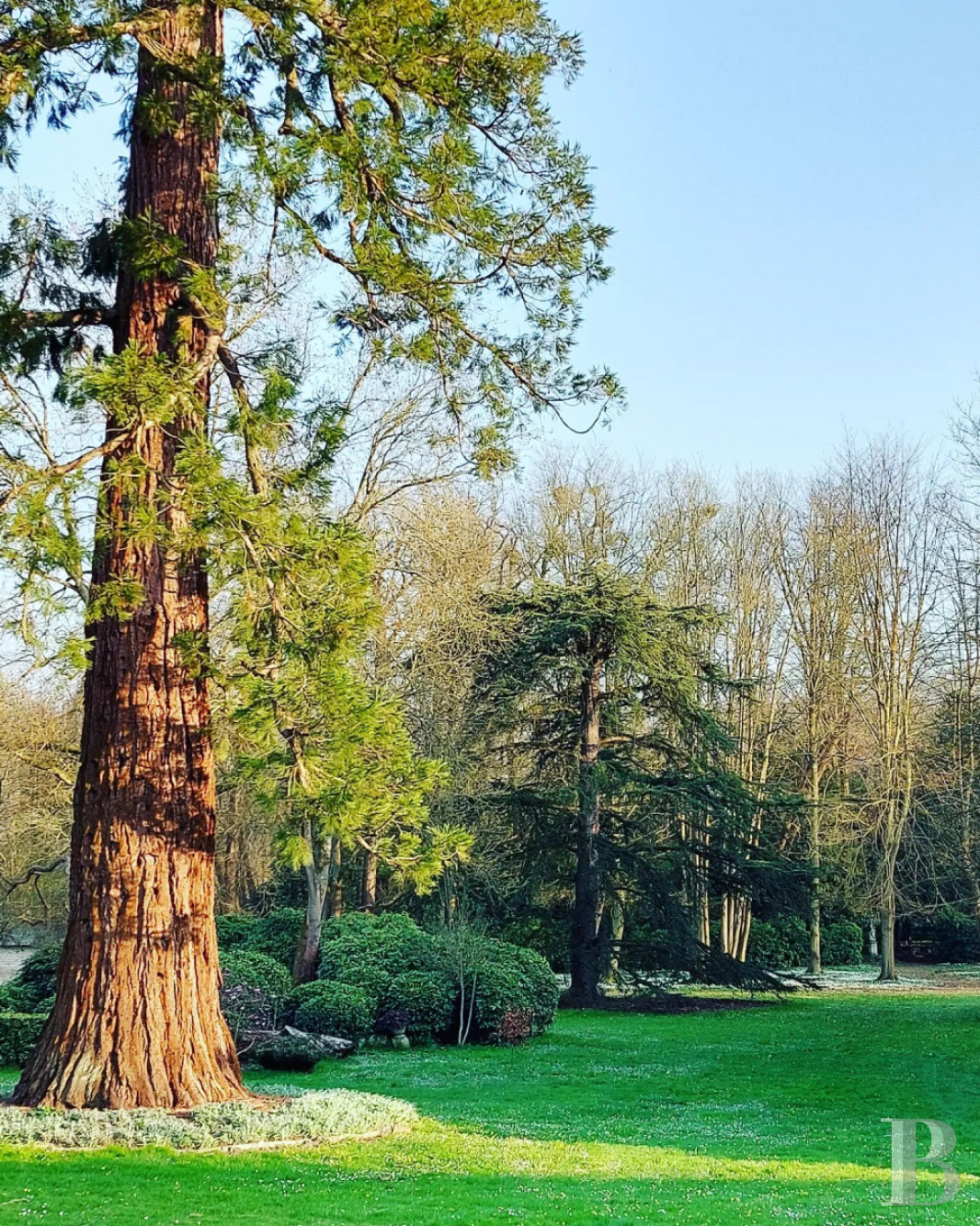 Au cœur du Parc Naturel Régional des boucles de la Seine, un château résumant à lui seul quatre cents ans d’architecture normande - photo  n°7