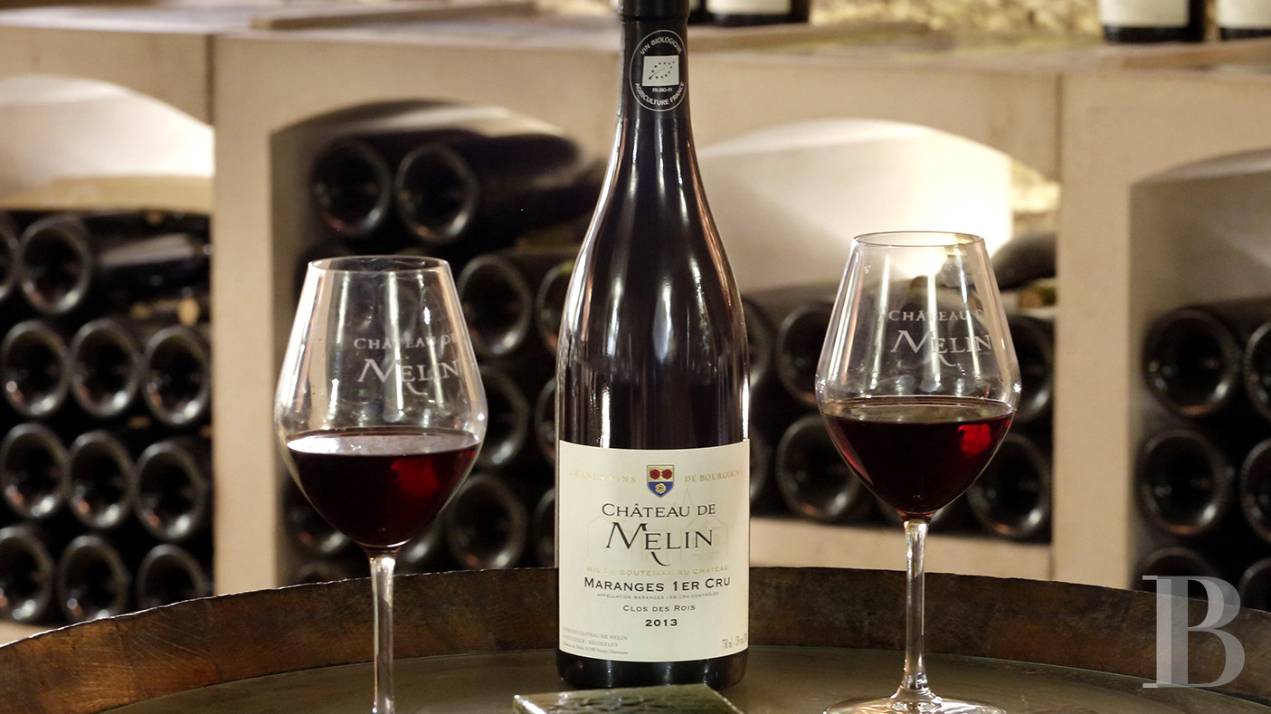 A wine estate and 16th century chateau  in the heart of Burgundy and the Auxey-Duresses vineyards - photo  n°35