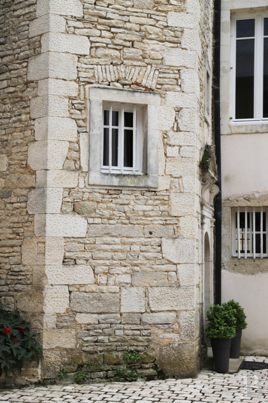 A wine estate and 16th century chateau  in the heart of Burgundy and the Auxey-Duresses vineyards - photo  n°6