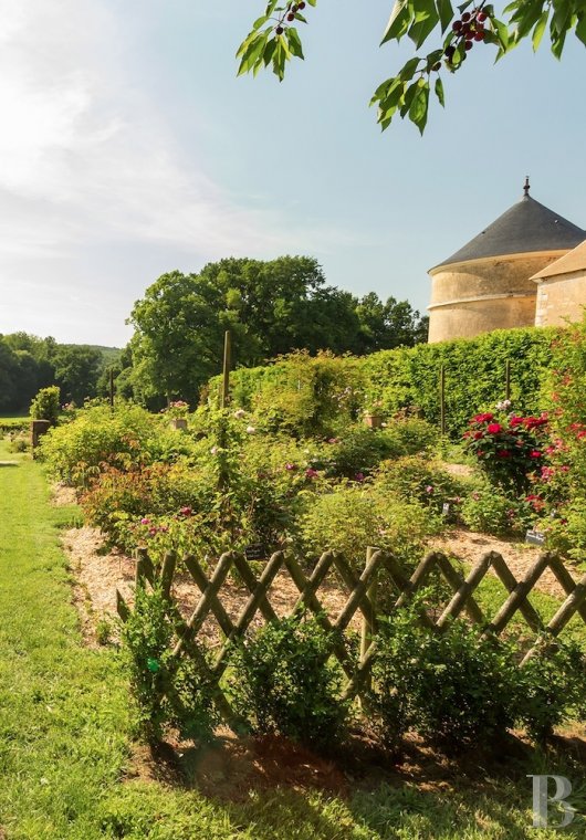 A small country chateau surrounded by a huge park on the outskirts of Le Mans, away from the world - photo  n°3