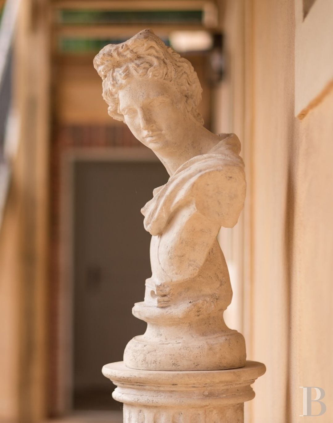 Aux portes du Mans, et à l’écart du monde,  un petit château des champs entouré d’un immense parc - photo  n°11